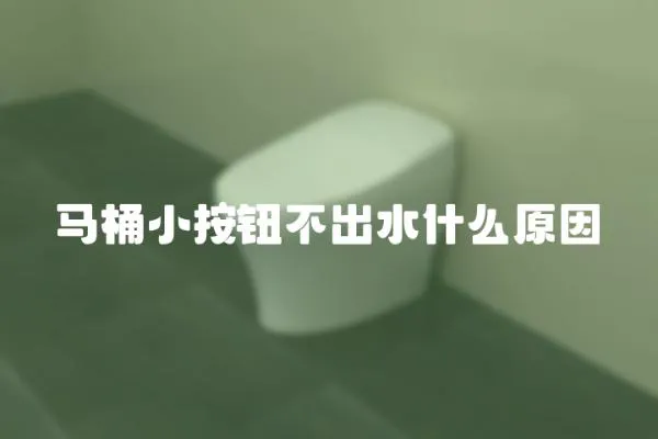 馬桶小按鈕不出水什么原因