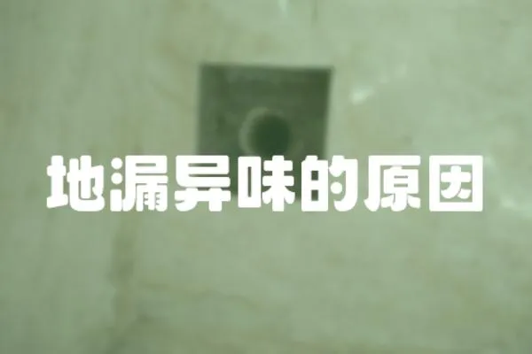 地漏異味的原因