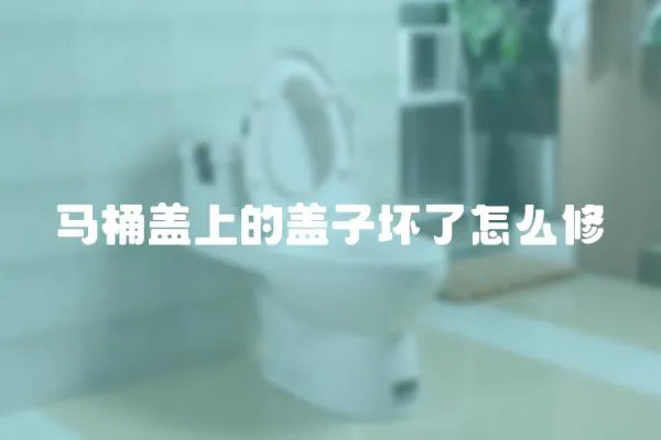 馬桶蓋上的蓋子壞了怎么修