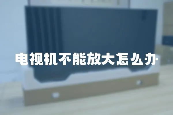電視機不能放大怎么辦