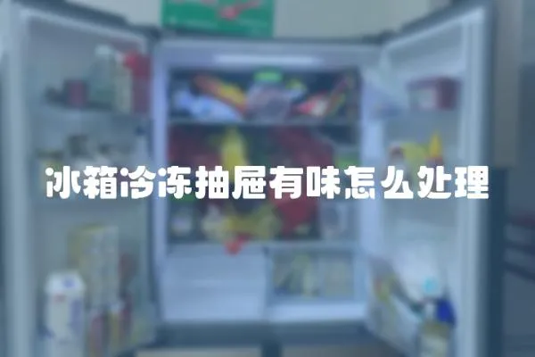 冰箱冷凍抽屜有味怎么處理