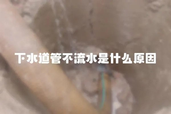下水道管不流水是什么原因