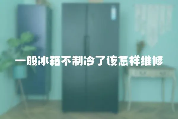 一般冰箱不制冷了該怎樣維修