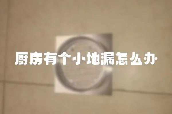 廚房有個小地漏怎么辦