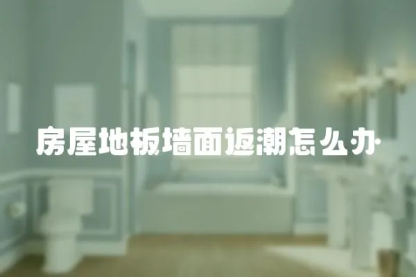 房屋地板墻面返潮怎么辦