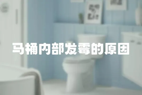 馬桶內部發霉的原因