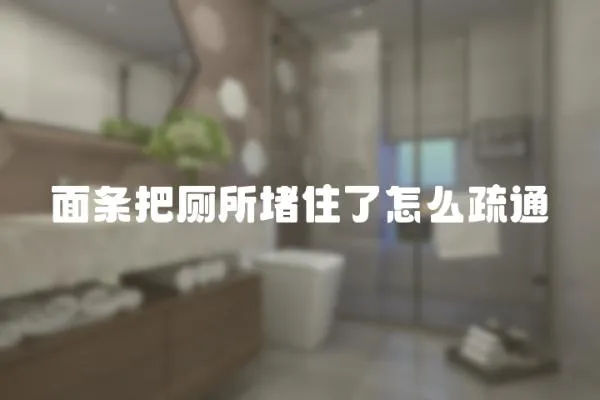 面條把廁所堵住了怎么疏通