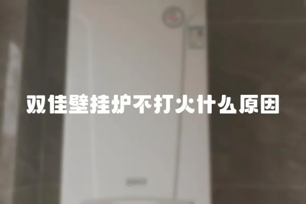 雙佳壁掛爐不打火什么原因