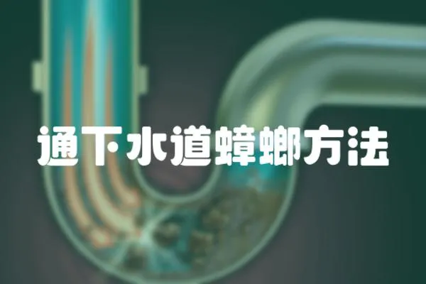通下水道蟑螂方法