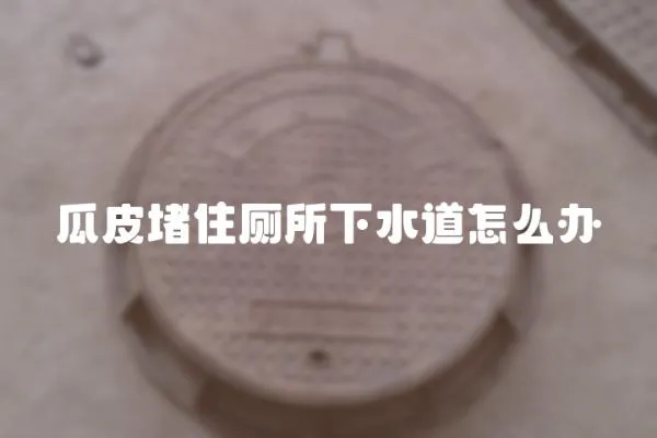 瓜皮堵住廁所下水道怎么辦