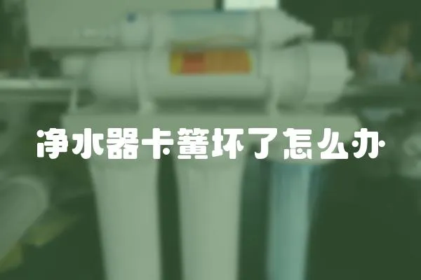 凈水器卡簧壞了怎么辦