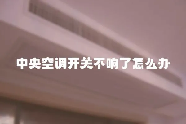 中央空調開關不響了怎么辦