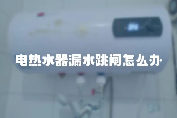 電熱水器漏水跳閘怎么辦