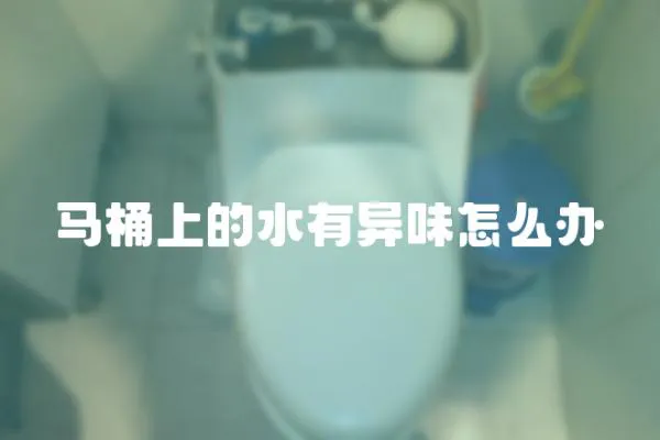 馬桶上的水有異味怎么辦
