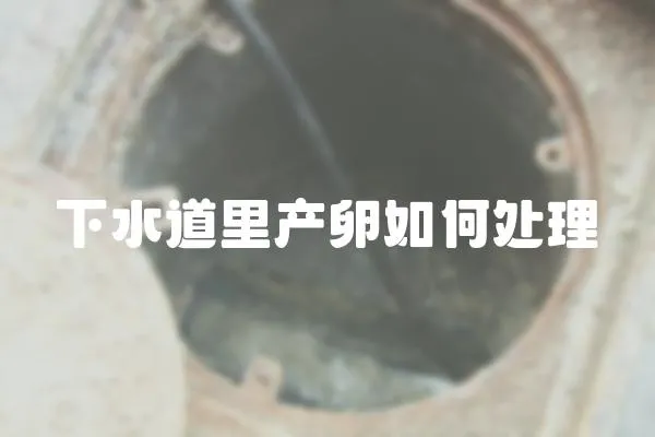 下水道里產卵如何處理
