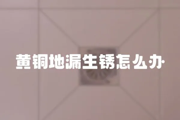 黃銅地漏生銹怎么辦