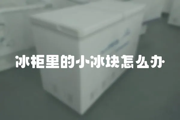 冰柜里的小冰块怎么办