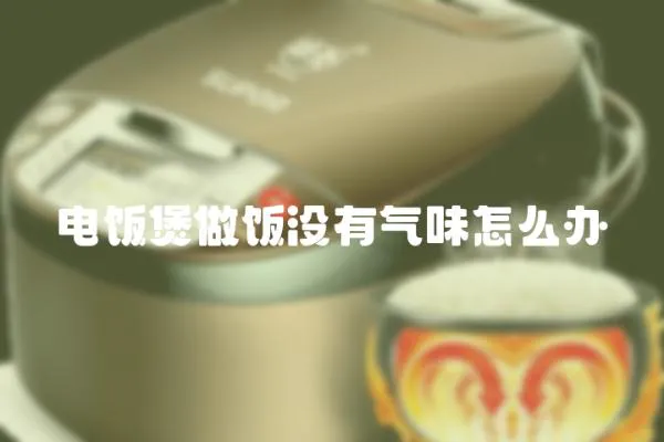 電飯煲做飯沒有氣味怎么辦