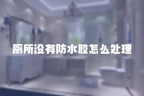 廁所沒有防水膠怎么處理