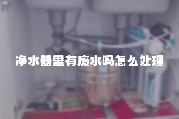 凈水器里有廢水嗎怎么處理