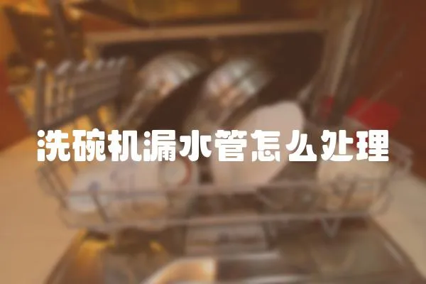 洗碗機漏水管怎么處理