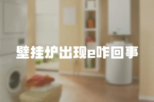 壁掛爐出現(xiàn)e咋回事