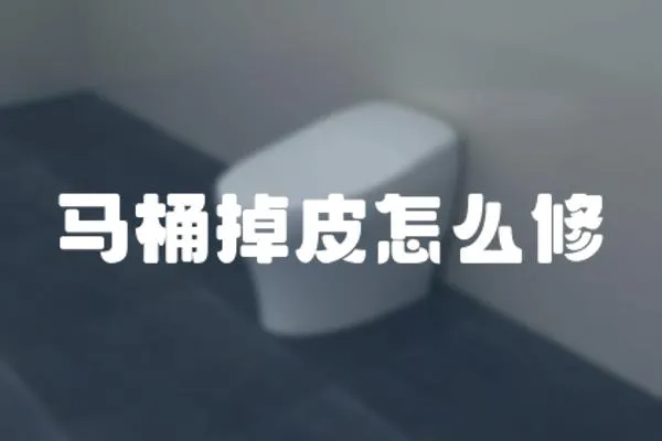馬桶掉皮怎么修