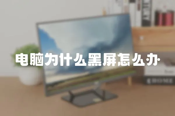 電腦為什么黑屏怎么辦