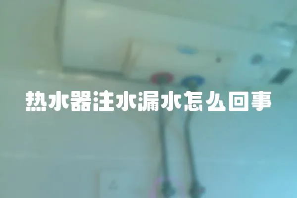 熱水器注水漏水怎么回事