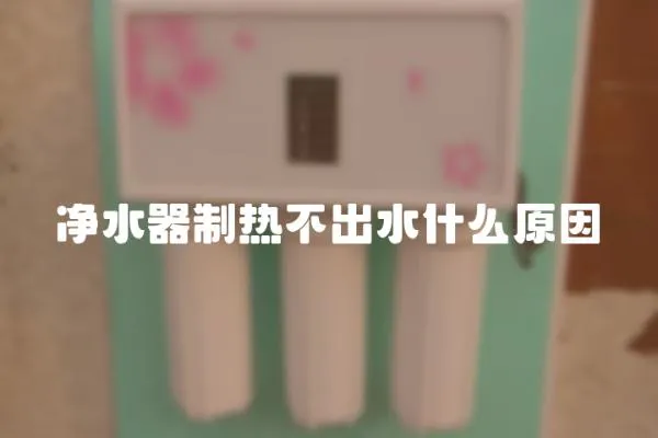 凈水器制熱不出水什么原因
