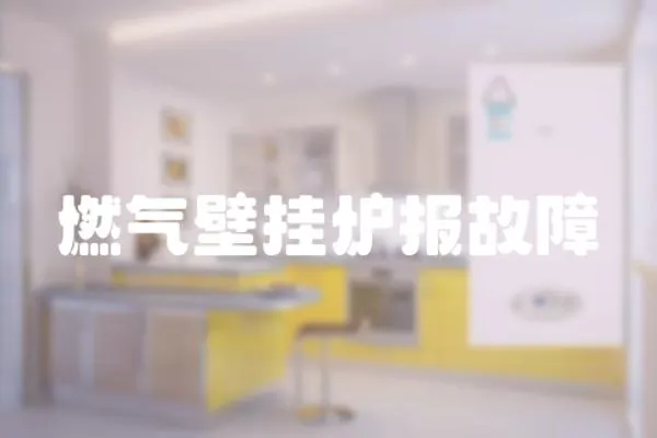 燃氣壁掛爐報故障