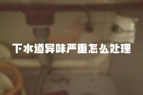 下水道異味嚴(yán)重怎么處理
