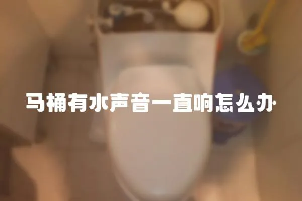 馬桶有水聲音一直響怎么辦