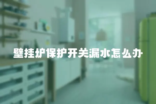 壁掛爐保護開關漏水怎么辦