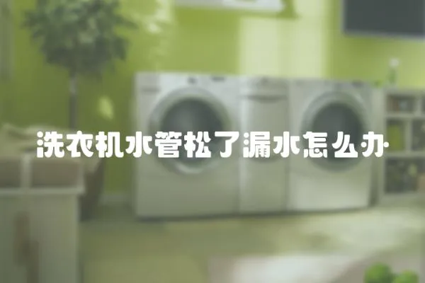 洗衣機水管松了漏水怎么辦