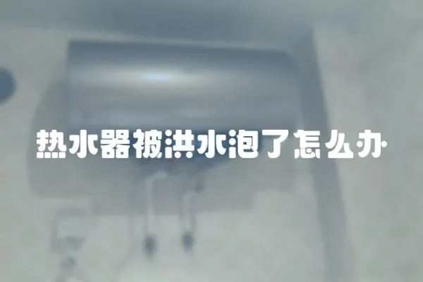 熱水器被洪水泡了怎么辦