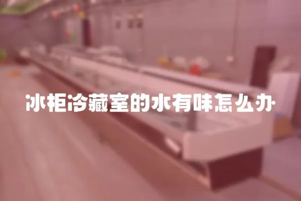 冰柜冷藏室的水有味怎么辦
