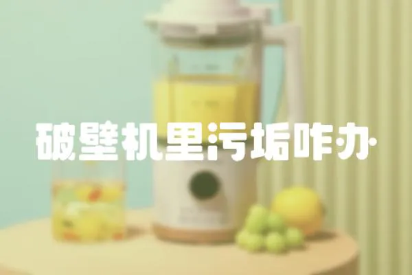 破壁機(jī)里污垢咋辦