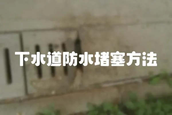 下水道防水堵塞方法