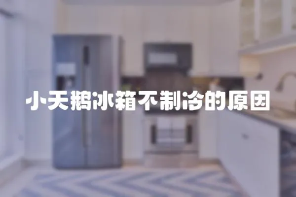 小天鵝冰箱不制冷的原因