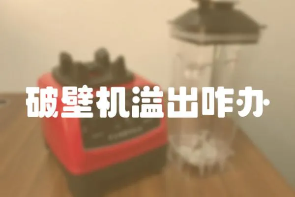 破壁機溢出咋辦