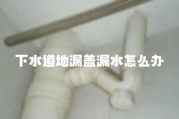 下水道地漏蓋漏水怎么辦