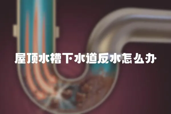 屋頂水槽下水道反水怎么辦