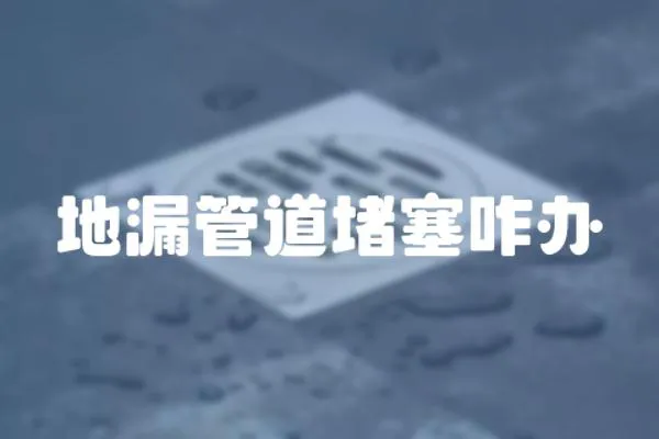 地漏管道堵塞咋辦