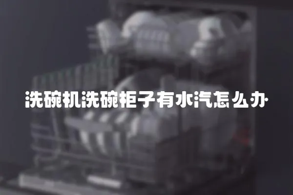洗碗機洗碗柜子有水汽怎么辦