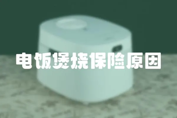 電飯煲燒保險原因