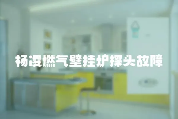 楊凌燃氣壁掛爐探頭故障