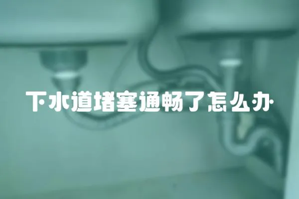 下水道堵塞通暢了怎么辦
