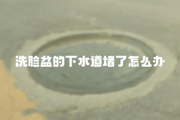 洗臉盆的下水道堵了怎么辦