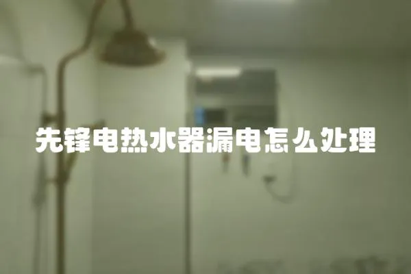 先鋒電熱水器漏電怎么處理